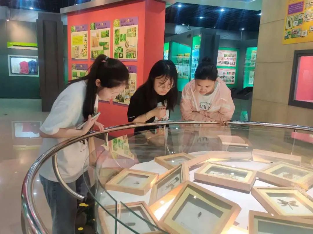 ����������