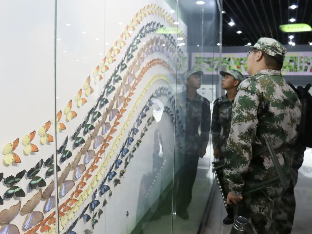 ����������