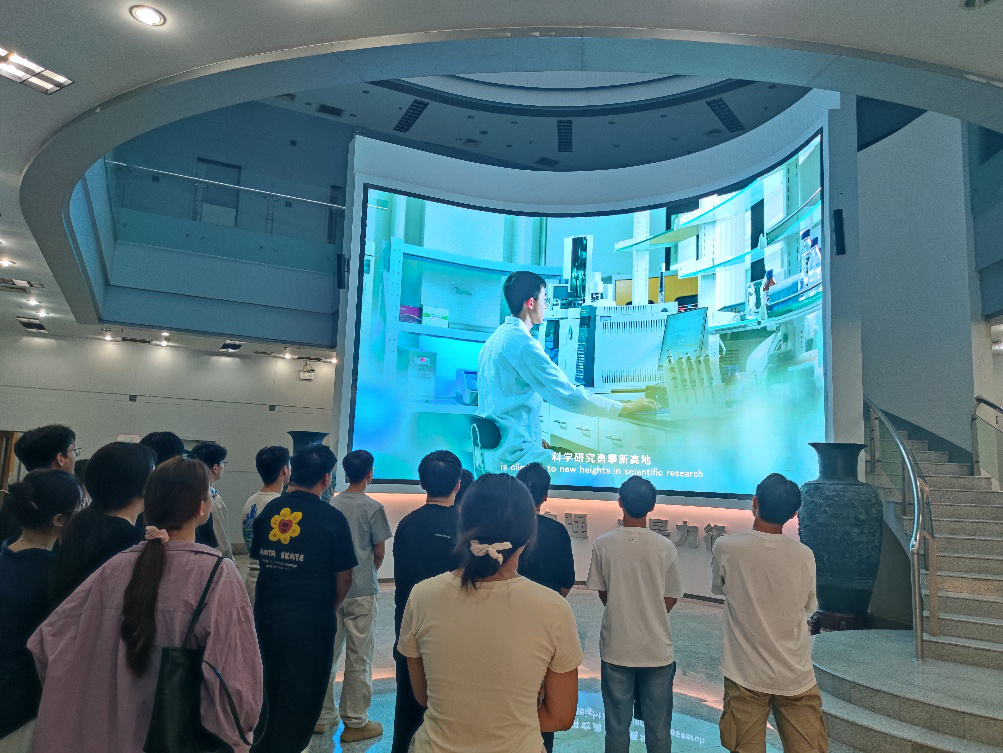 ����������