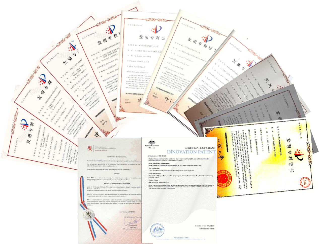 ����������