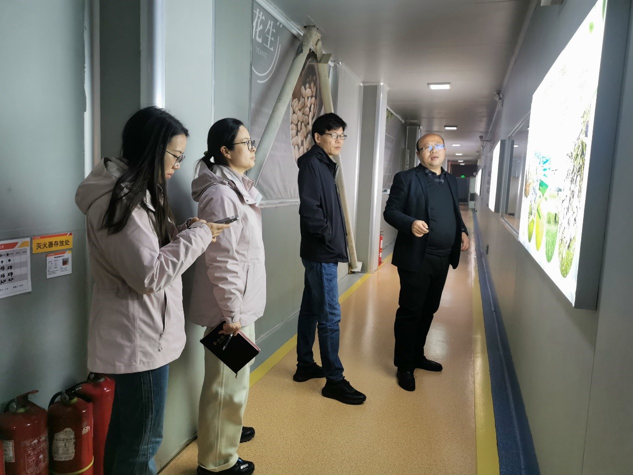 ����������