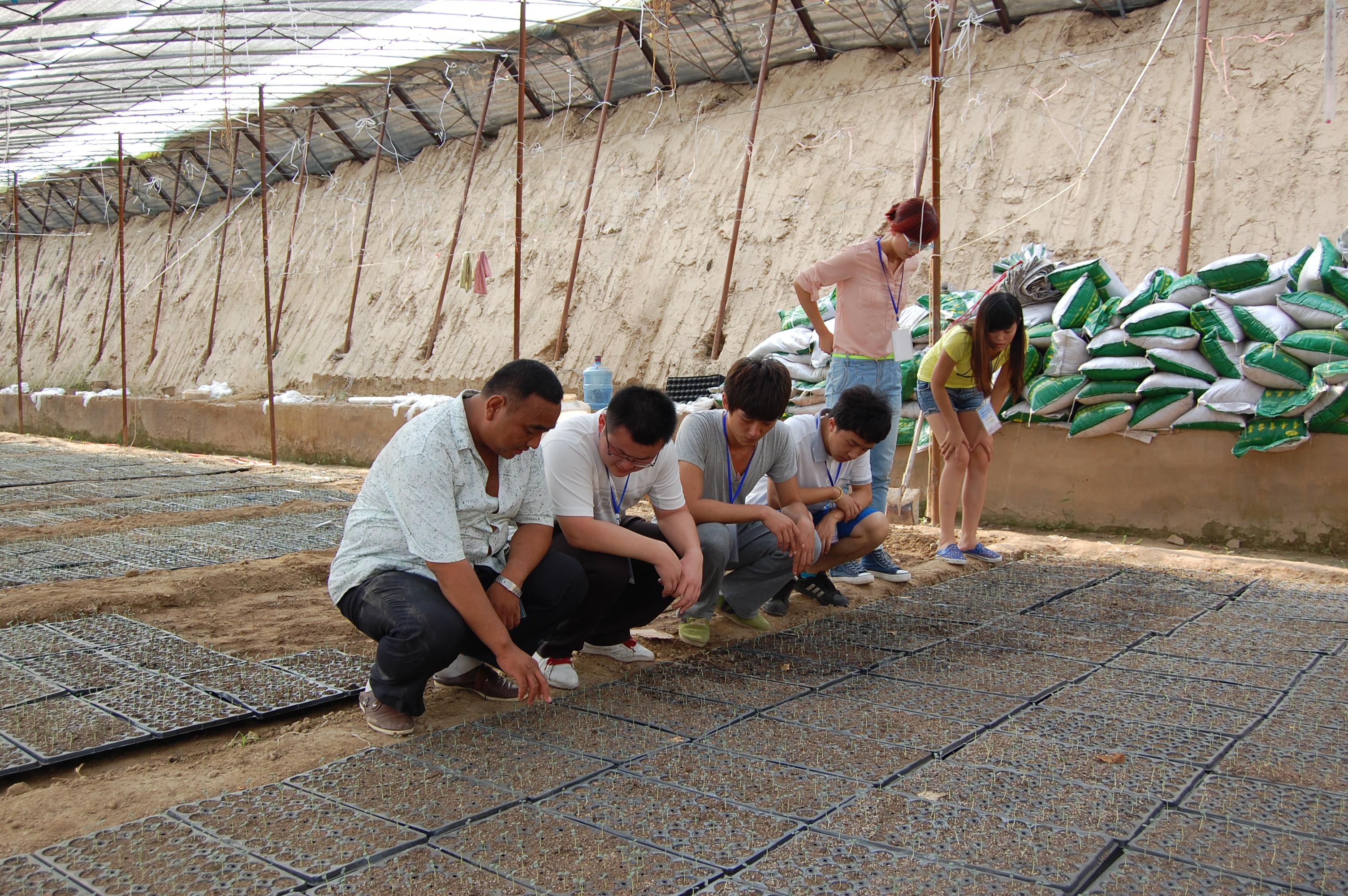 ����������