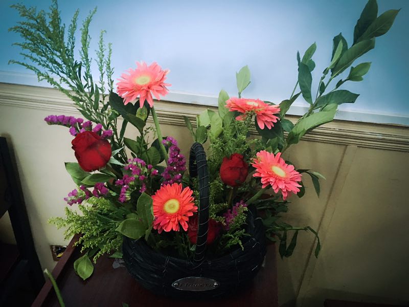 ����������